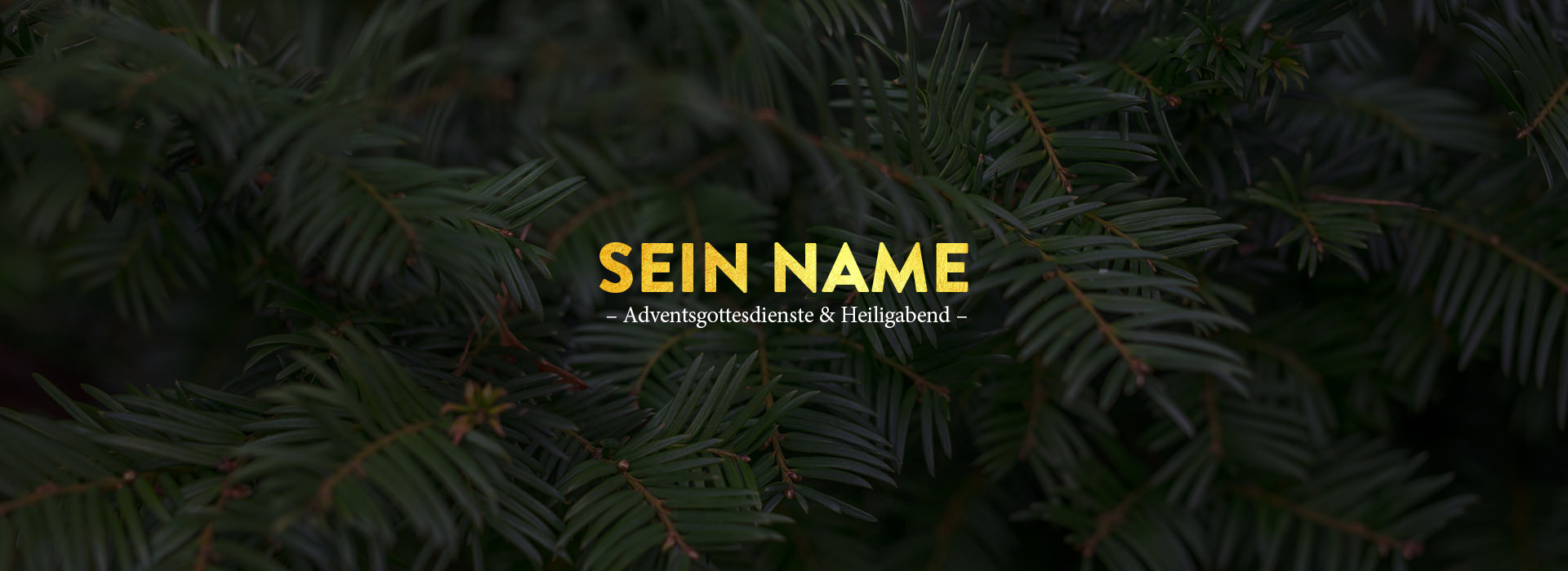 Sein Name: Ewiger Vater